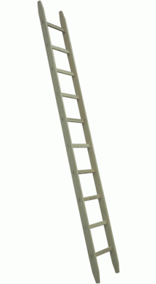 Holz-Anlegeleiter (Bau- und Tennleiter) 9 Akazien-Sprossen