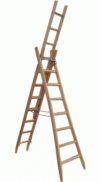 Holz-Mehrzweckleiter 3-teilig 3x12 Sprossen 