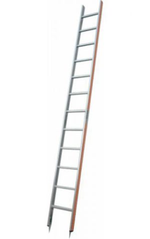 Aluminium-Baumleiter Typ 181 - 12 Sprossen / Länge 3.61 m