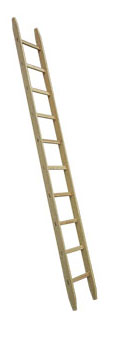 Holz-Anlegeleiter Typ 480 - 26 Sprossen / Länge 8.10 m