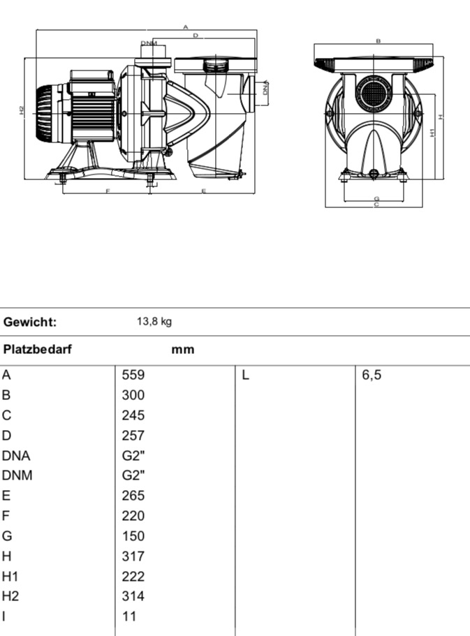 DAB Euroswim 100 T IE3 Selbstansaugende Schwimmbadpumpe - 24000 l/h - Fh 15.4 m - 1.54 bar - 1.2 kW - 3 x 230-400 V – Bild 3